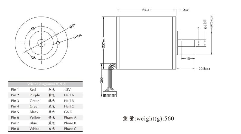 Micro Electric Brushless Permanent Magnet Motor