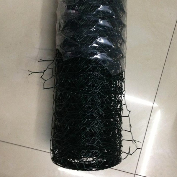 Electro Galvanized Hexagonal Wire Mesh