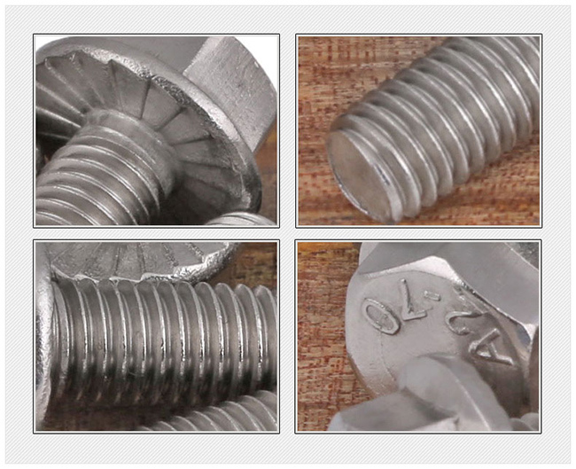 Stainless Steel Hex Head Hexagon Flange Bolt