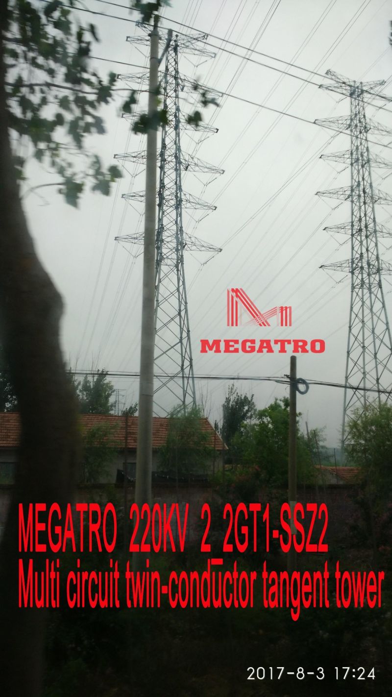 Megatro 220kv 2_2gt1-Ssz2 Multi Circuit Twin-Conductor Tangent Tower