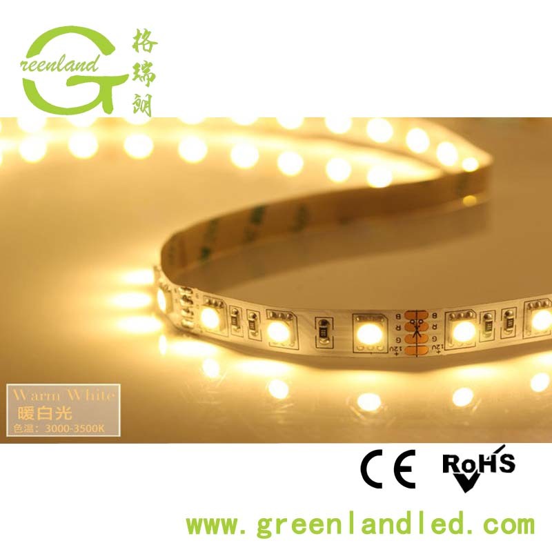 Ce RoHS 12V 24V 60LEDs 5050 LED Strip Light