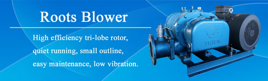 Dsr125 High Quality Roots Blower & Vacuum Pump for Sewage Treatment Biogasflare