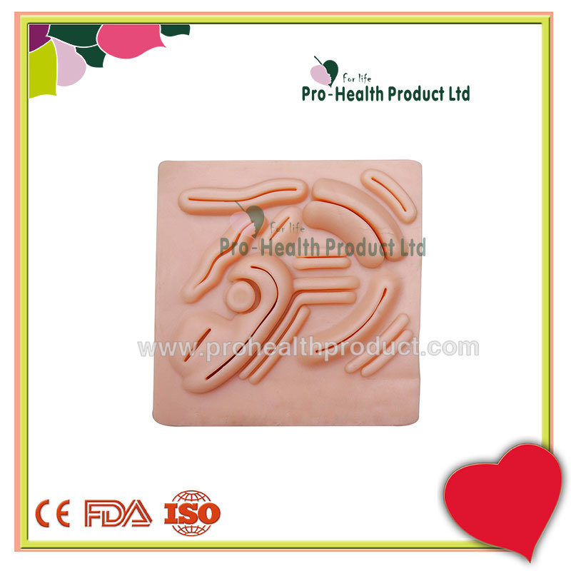 Human Enterocoelia Simulation Suture Practice Training Model Pad