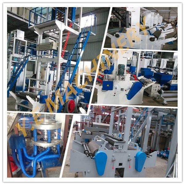 China Wenzhou PE Zip Lock Film Blowing Machine (ZIP series)