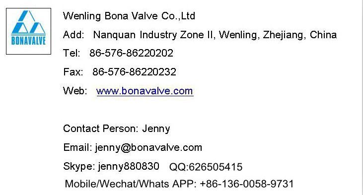 Bona Water/Steam/Air Solenoid Valve (ZCQ-20B-11)