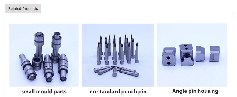 New Style Verticality 0.002mm DIN9861 Piercing Punch Pins