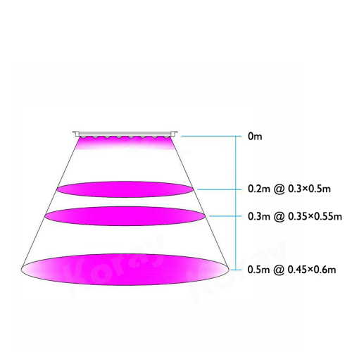 Reflector Cup Indoor Hydroponic Garden Greenhouse LED Grow Lamp