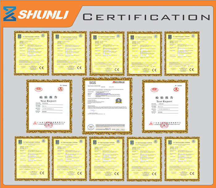 Shunli Factory Sell 4500kg Lifting System