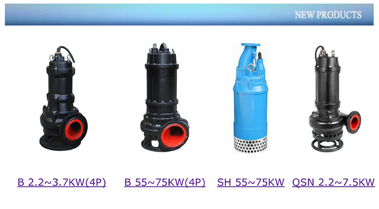 Submersible Pumps, Drainage Pump, Deep Well Pump, Sewage Pump, Water Pump -Ce Approved