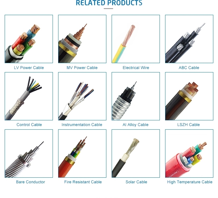 Cable & Communication Cables Computer CAT6 Cable