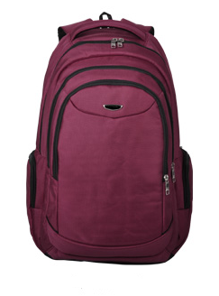 High Capacity 19'' Black Laptop Backpack Bag School Bag Computer Bags Zh-Cbj38 (8)