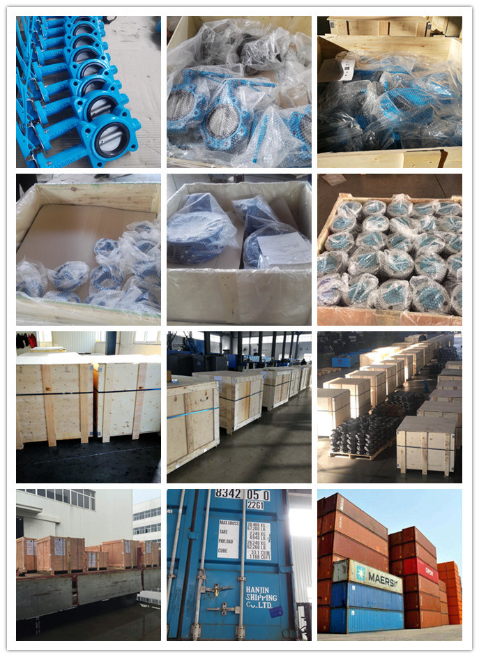 Lugged Type Rubber Lined Wafer Butterfly Control Valve