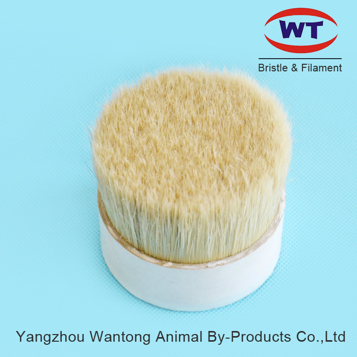 Chungking 60~90%Tops Natural White Boiled Bristle