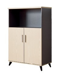 Simple Home Office Furniture Melamine 2 Door Low Bookcase Cabinet (KL-506)