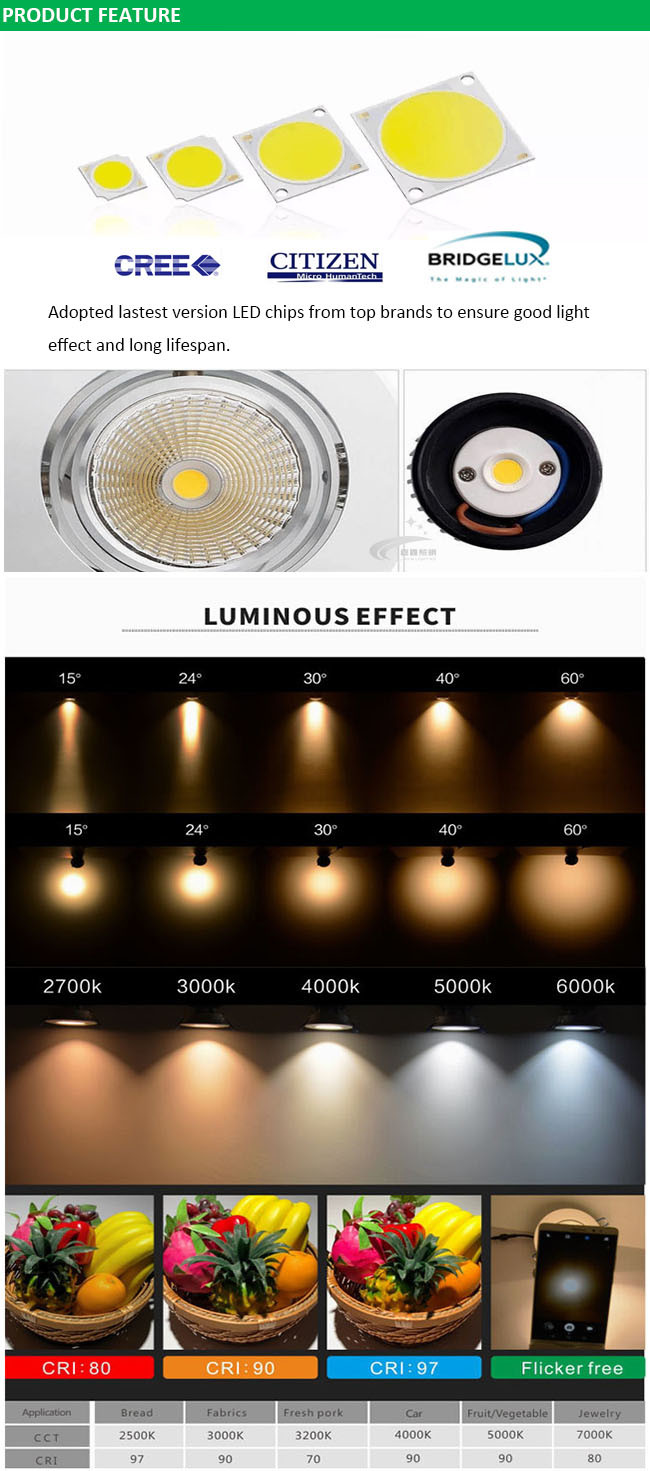 30W New Design High Power COB LED Indoor Downlight LED Spotlight