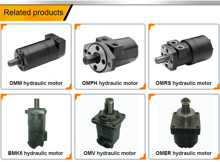 BMS80cc, BMS100cc, BMS125cc, BMS160cc, BMS200cc, BMS250cc, BMS315cc, BMS375cc Orbital Hydraulic Motor