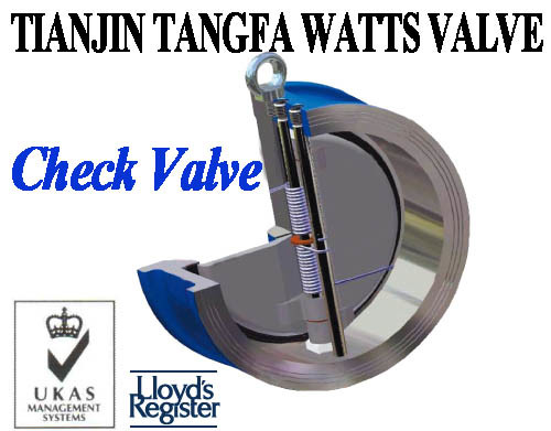 Cast Iron Dual Plate Wafer Type Check Valve