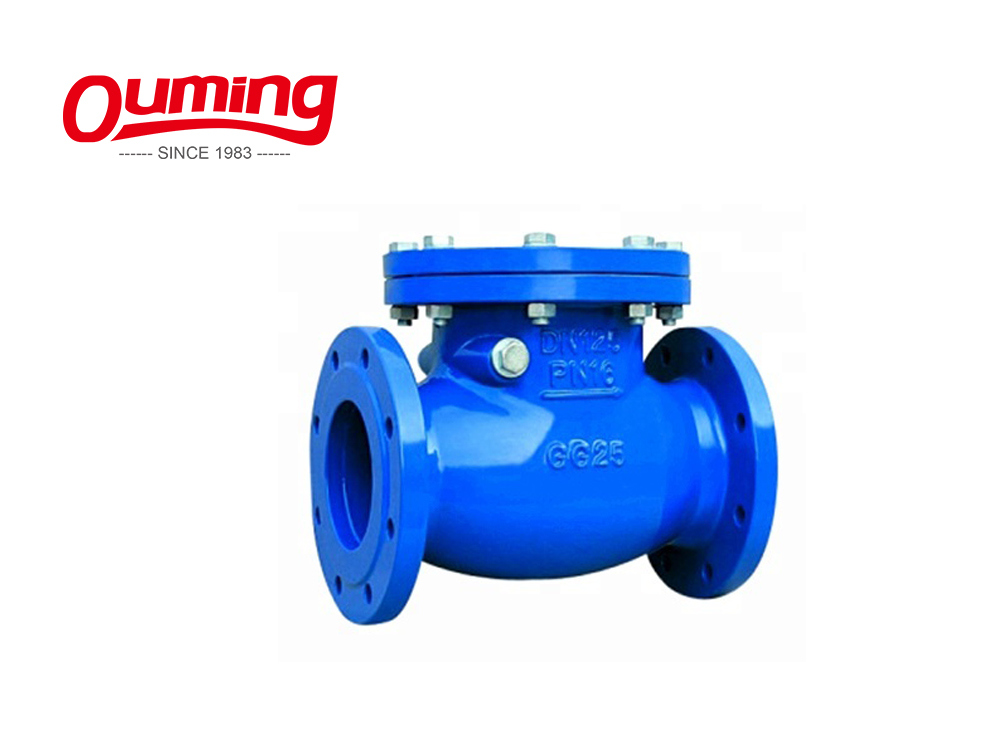 Wcb Flange 20 Inch Low Pressure Nozzle Check Valve