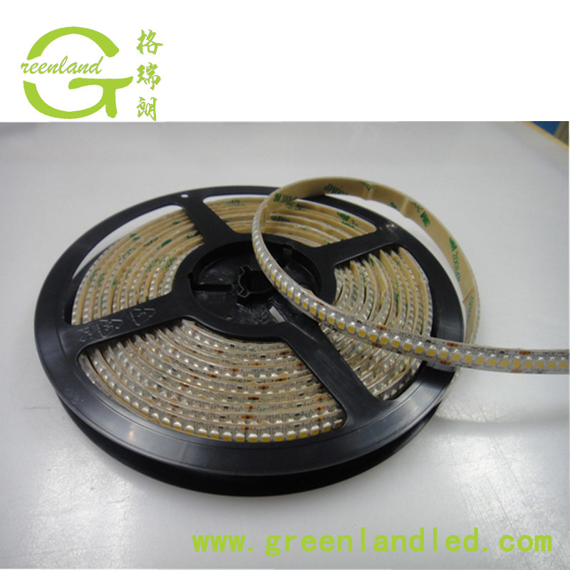 Ce RoHS Flexible LED Light Strips 240d SMD 3528 LEDs 24V DC