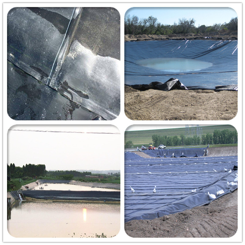 0.75mm HDPE Liner/Pond Liner for Prawn Farm