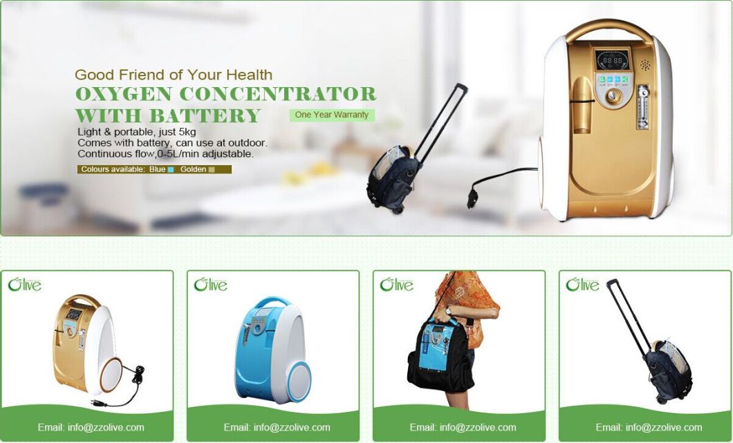 Small Travel Portable Oxygen Concentrator with Battery and Backbag