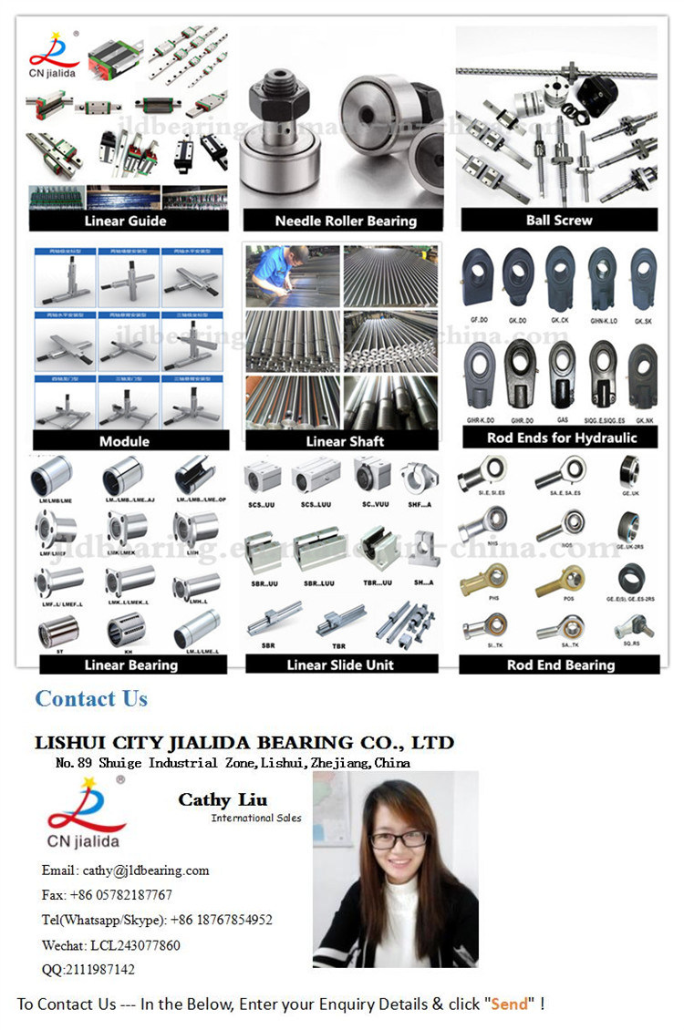 China Bearing Assembly Ball Screw for CNC Machines (SFU/DFU series)