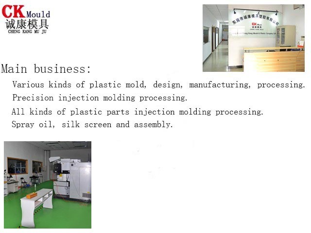Plastic Injection Mould Manufacturer