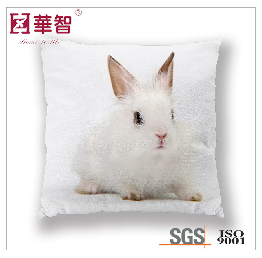 Digital Printed Cushion Cover, Home Decorative Cushion