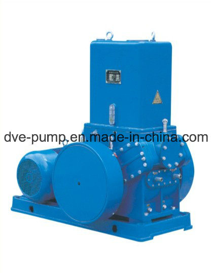 Piston Vacuum Pump for Industrial Coating