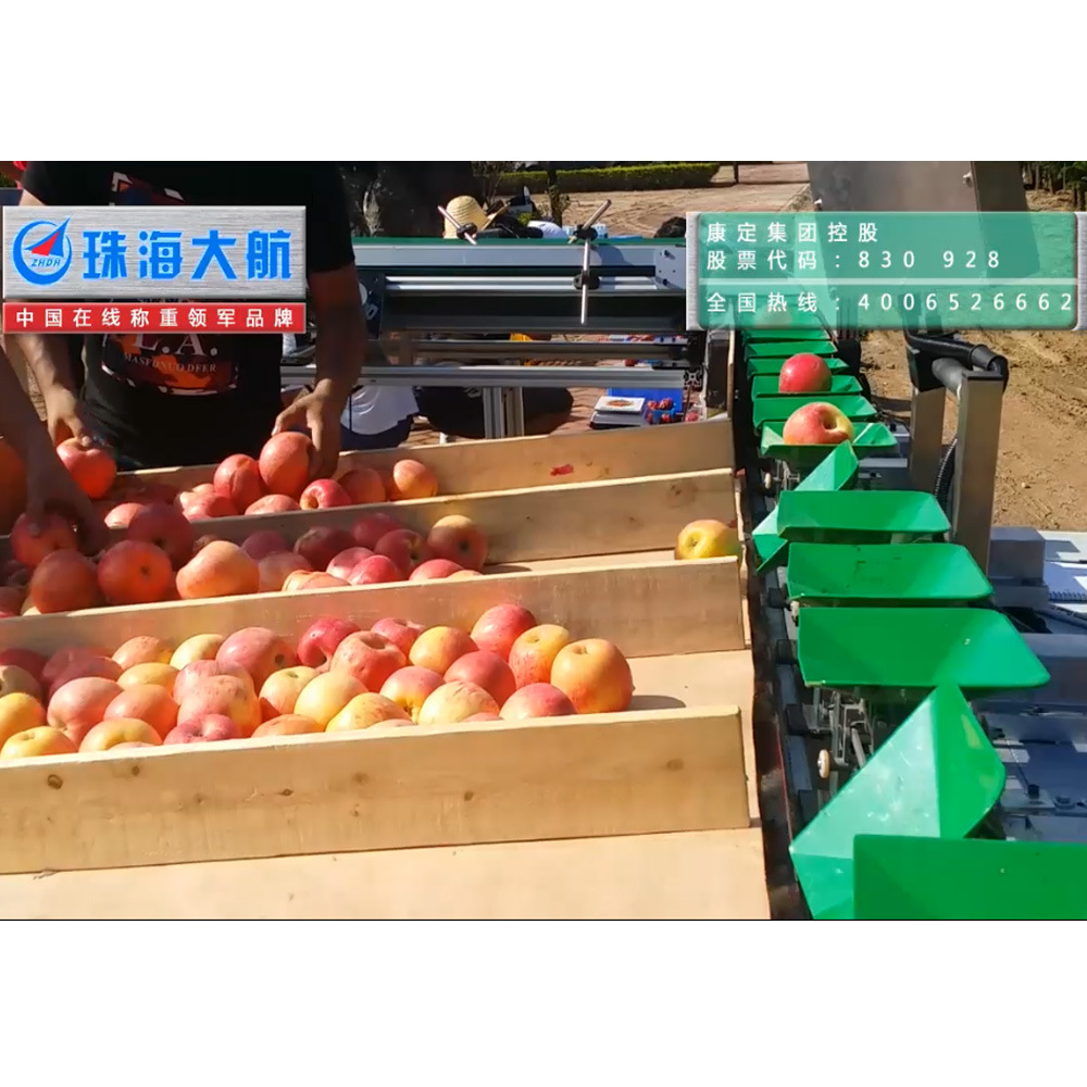 Vegetables Checkweigher and Weight Sorter Machine