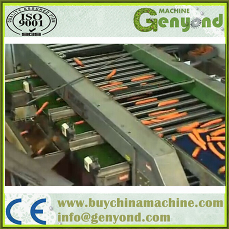 Stainless Steel Fruit Sorting Machine