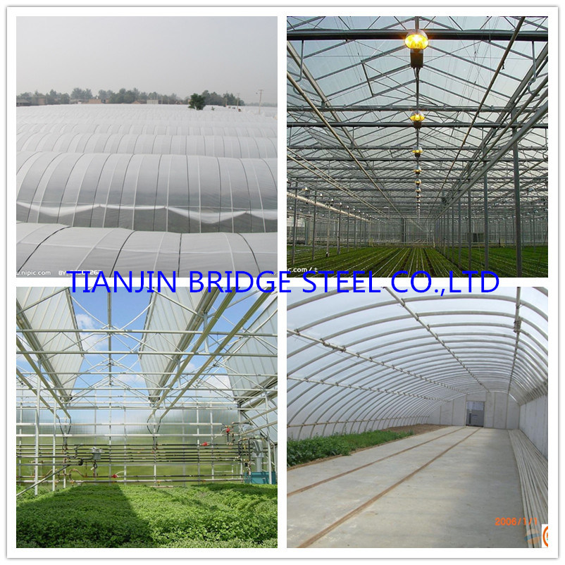 Square & Round Pre Galvanized Steel Pipe for Scaffolding and Constructions