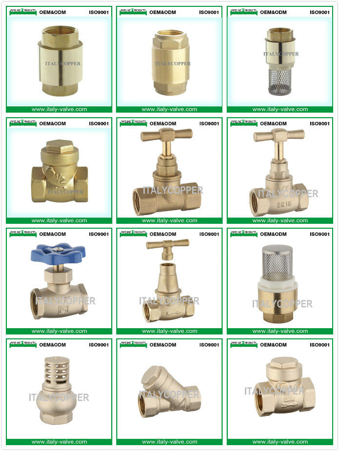 ISO9001 Certified Brass Spring Check Valve (AV5001)