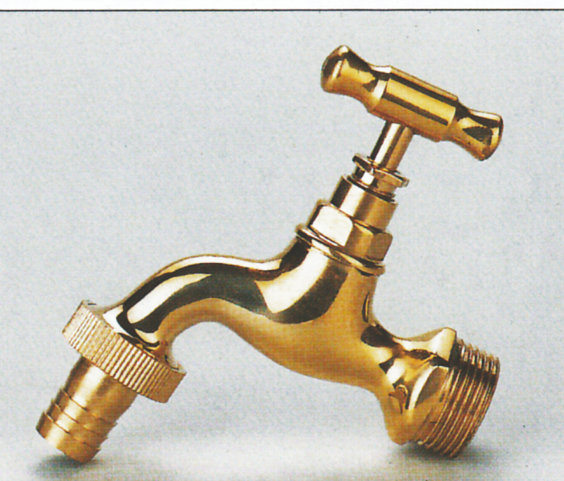 Garden Tap Polished Brass Bibcock