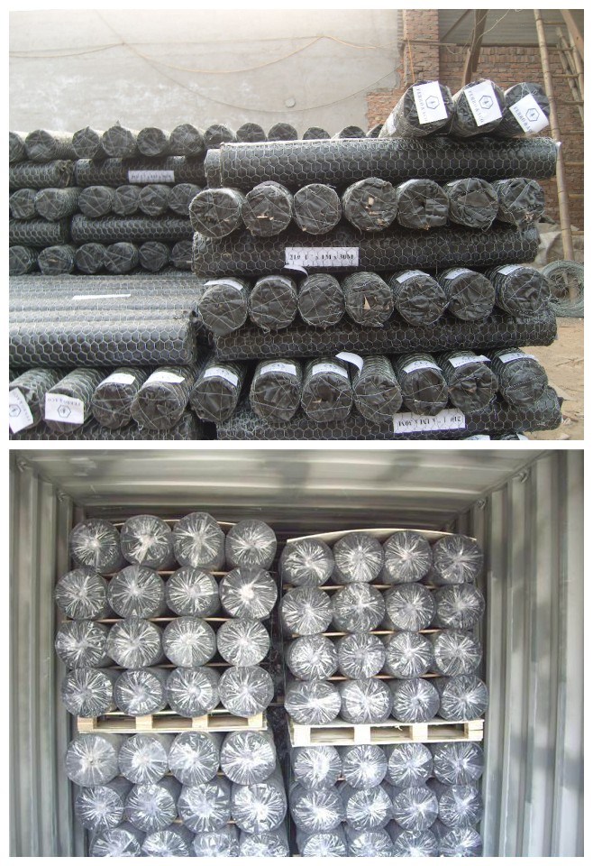 Wholesale High Quality Chicken Wire Mesh an Additional Coating Hexagonal Wire Mesh