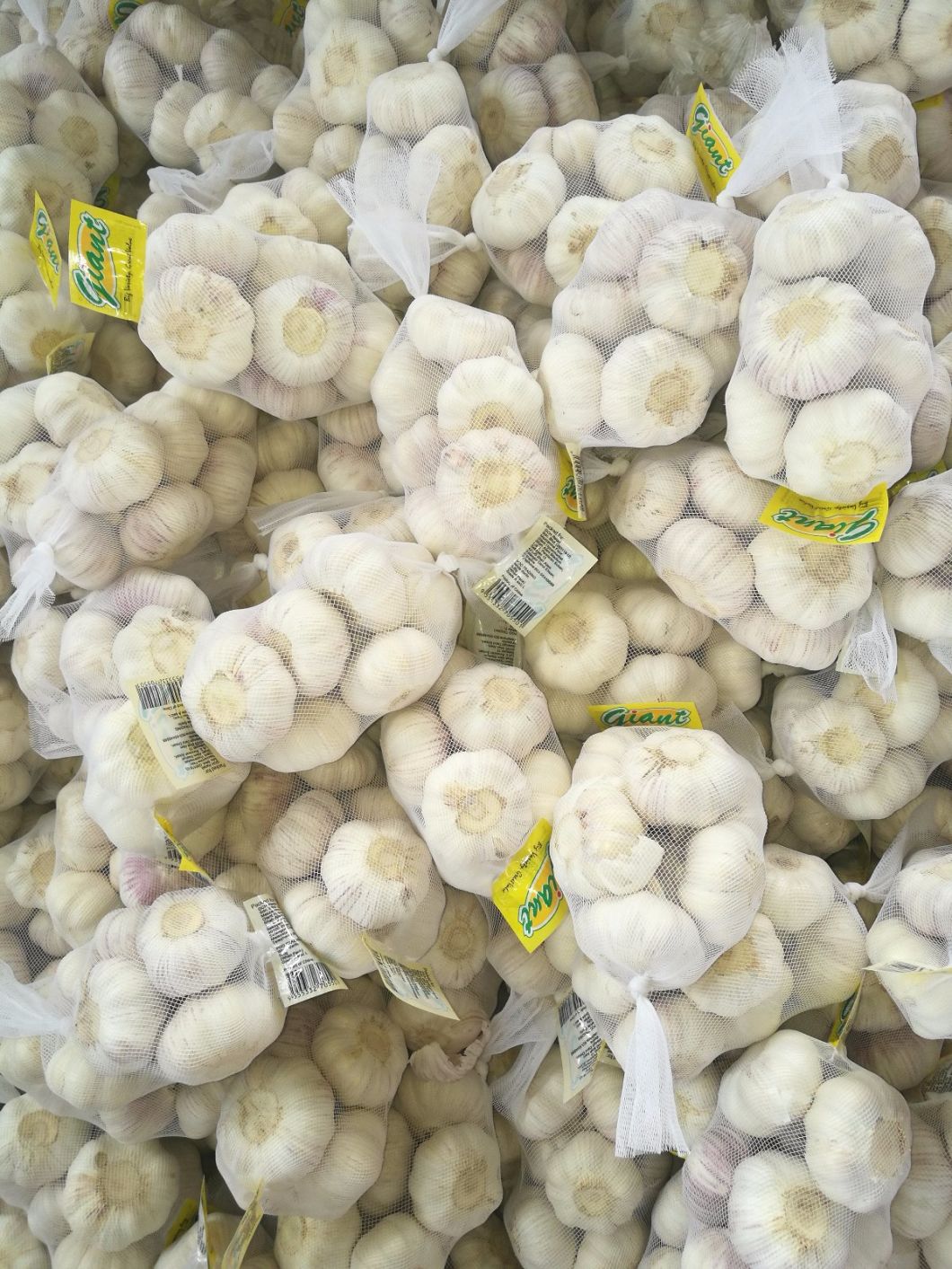 Fresh Normal White 5-6cm Garlic