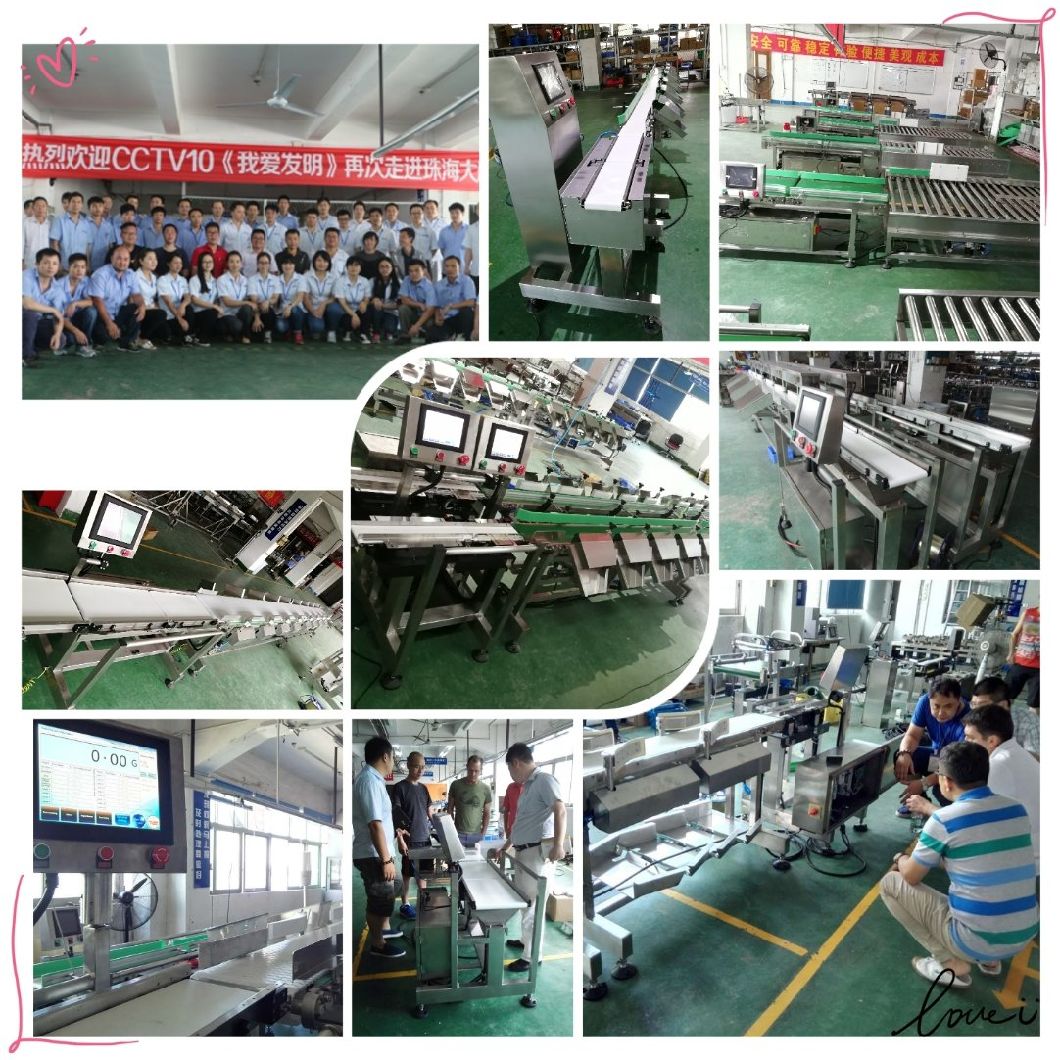 Automatic Online Check Weigher Using After Packing Machine Conveyor