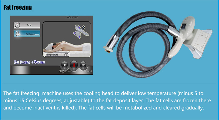 Beauty Equipment for Body Slimming Cryolipolysis Lipo Laser Cavitation RF Weight Loss Machine