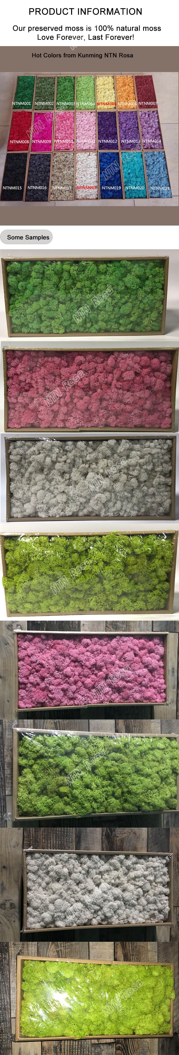 Premium Quality 100% Natural Moss Wreath Wholesale