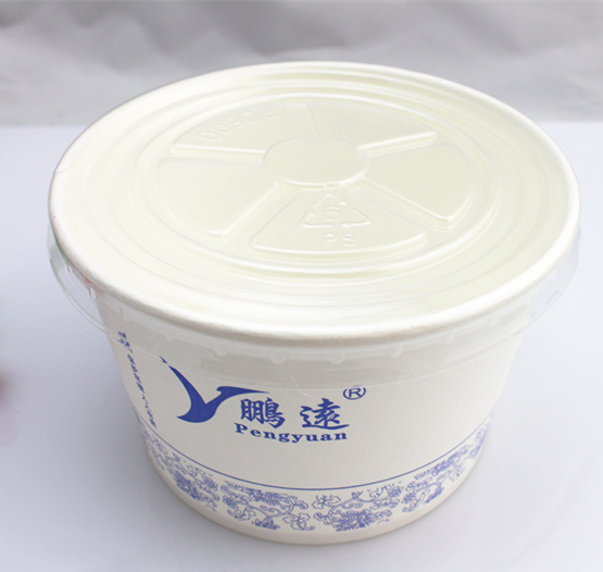 Cheap Eco-Friendly Paper Insulated Disposable Food Container