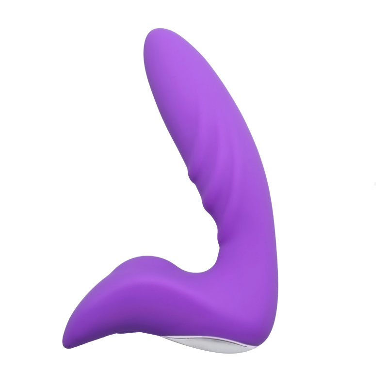 Upgraded Remote Control 12 Speeds Vibrating G Spot Vibrator Anal Sex Toy for Couple