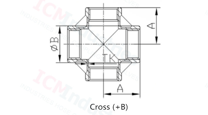 Stainless Steel Cross Threaded Fittings/ISO 4144 Pipe Fitting