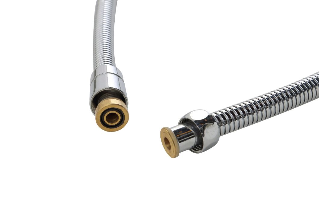 Stainless Steel Shower Hose in Plumbing Hardware Shower Accessories 3057