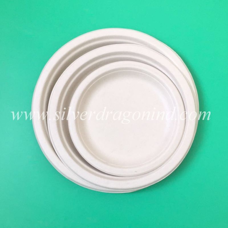 Disposable Compostable Square Paper Plate