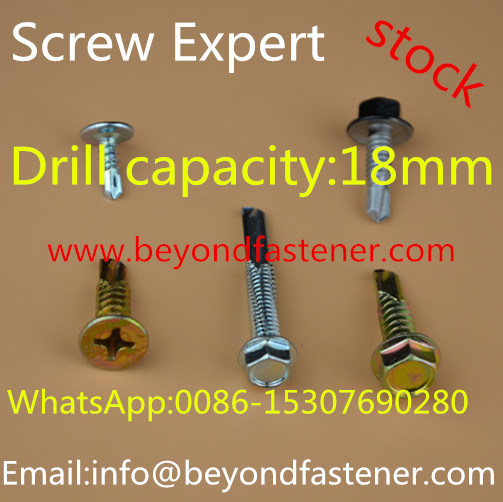 Roofing Screw Self Tapping Screw Self Drilling Screw