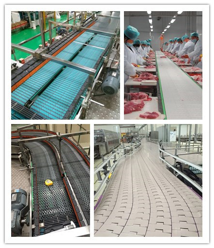 Hairise FDA Power Belt Plastic Conveyor for Bakery Industry