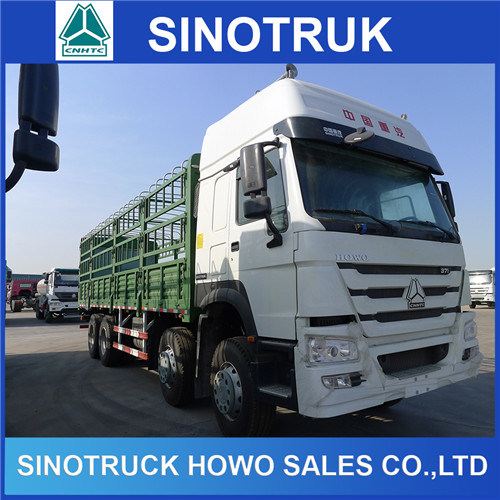 Heavy Duty 10 Wheels HOWO 6X4 Cargo Truck for Sale