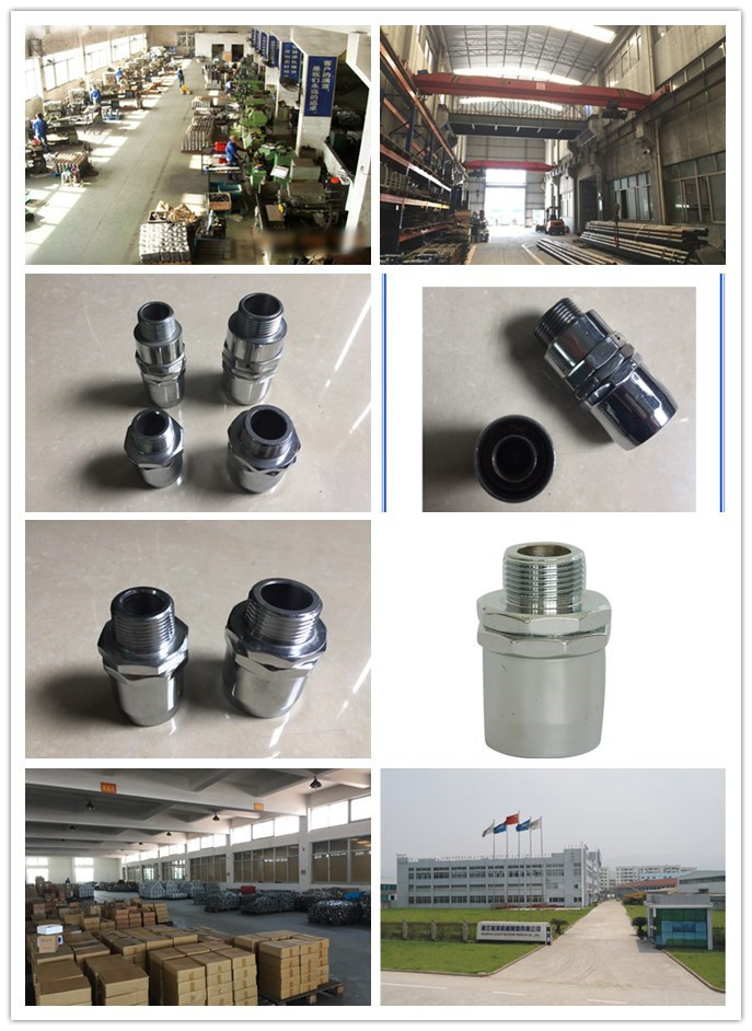 Factory Supply Hose Adaptor with Hose for Oil Station Yh0043