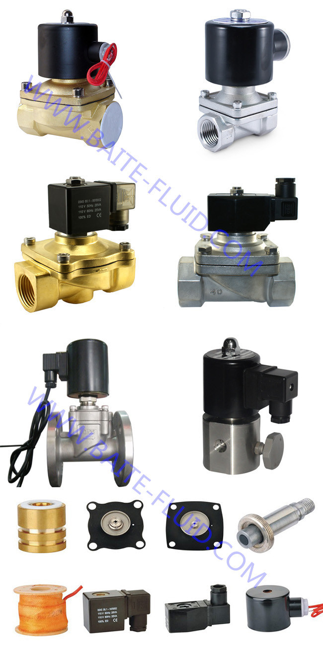 2 Inch 2 Way Brass Water & Air Direct Acting Solenoid Valve