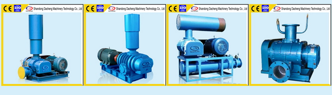 Ds-L Large Capacity Twin Lobe Air Roots Blower for Pneumatic Conveying with Ce and ISO9001